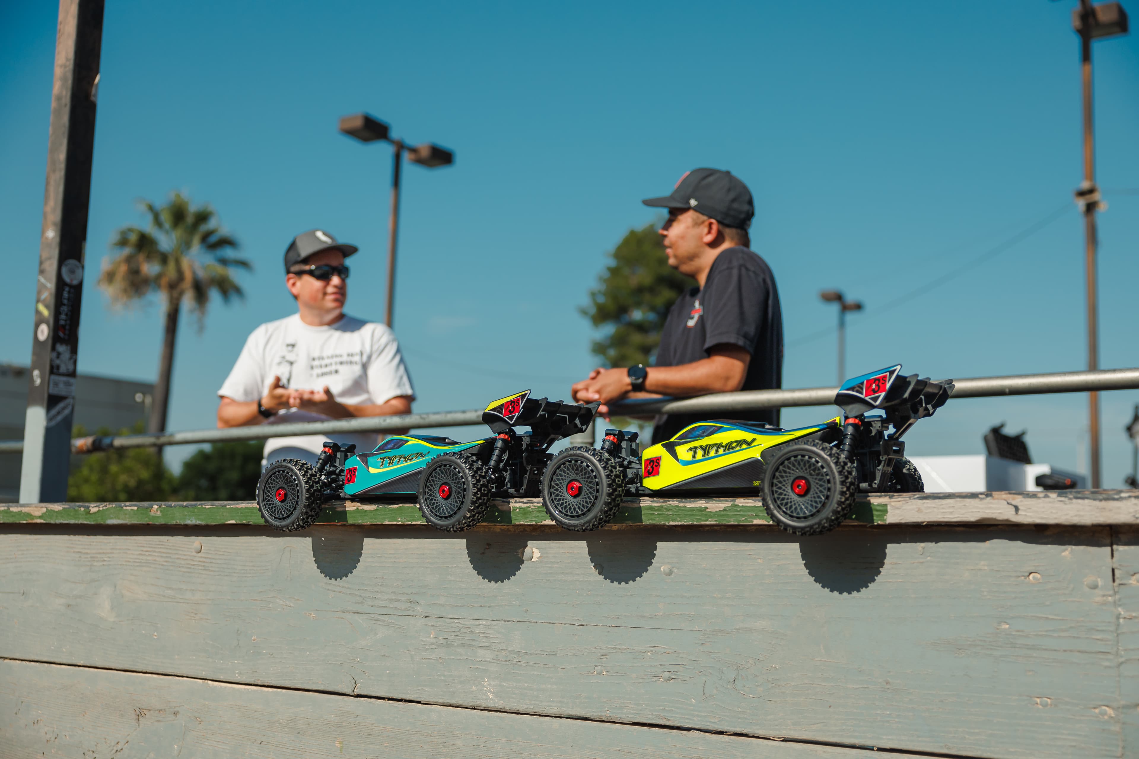 Fiddle leaf fig in a living room