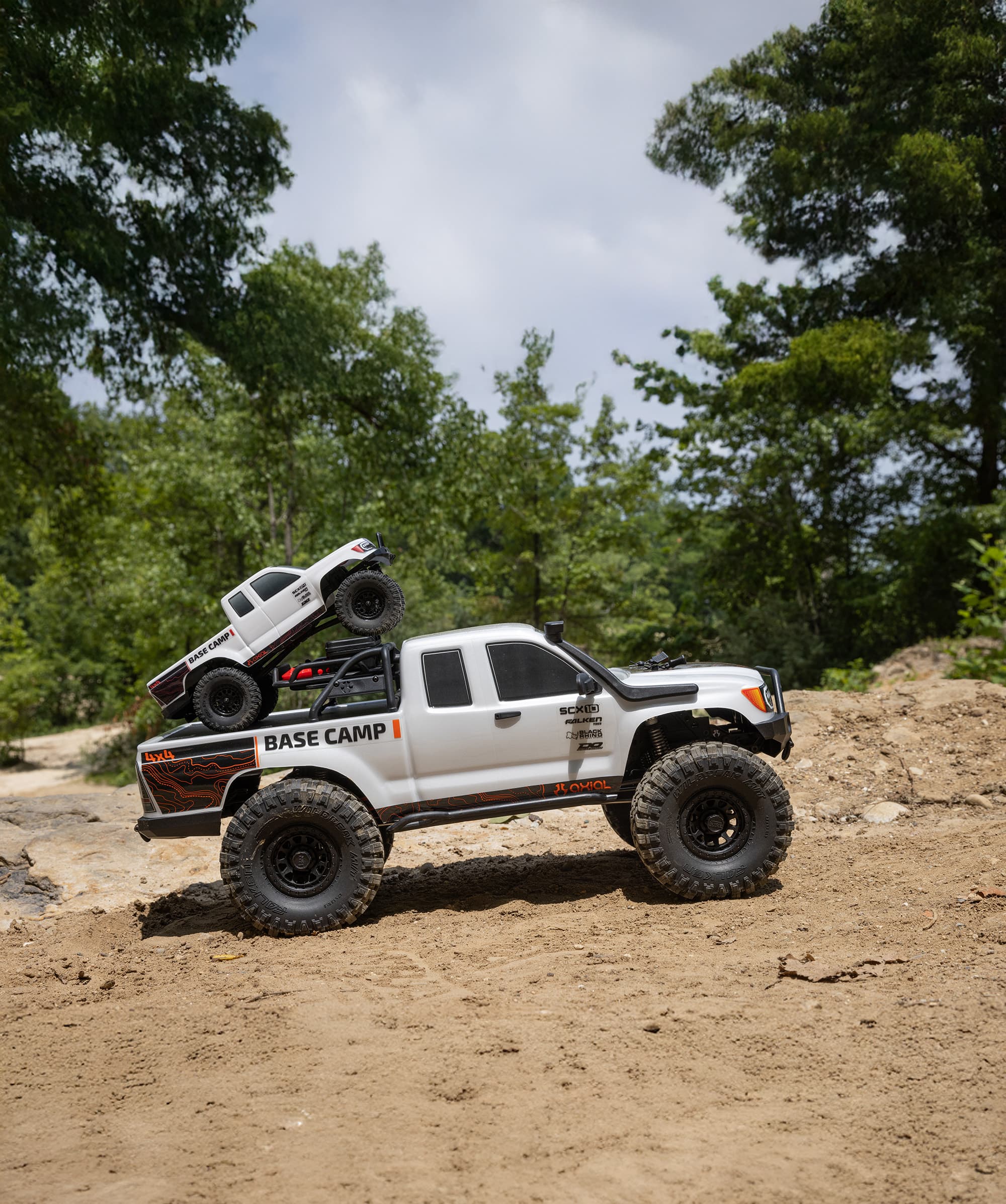 Fiddle leaf fig in a living room